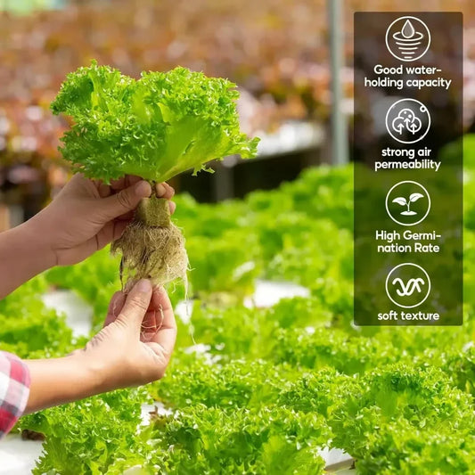 Soil-less Hydroponic Vegetable Planting Cube - Wholesalus