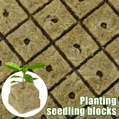 Soil-less Hydroponic Vegetable Planting Cube - Wholesalus