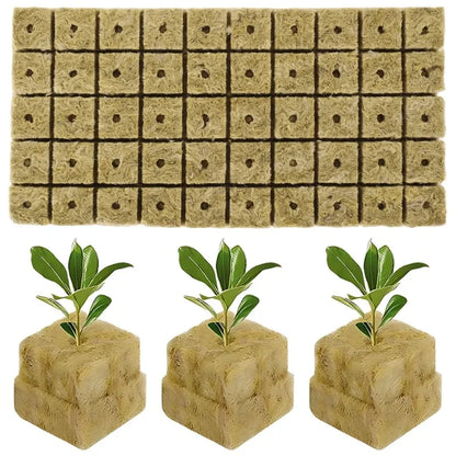 Soil-less Hydroponic Vegetable Planting Cube - Wholesalus