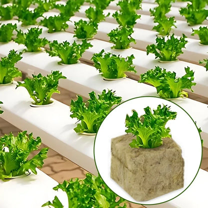 Soil-less Hydroponic Vegetable Planting Cube - Wholesalus