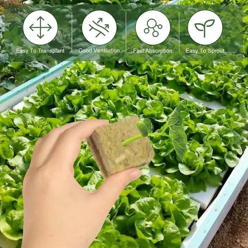 Soil-less Hydroponic Vegetable Planting Cube - Wholesalus