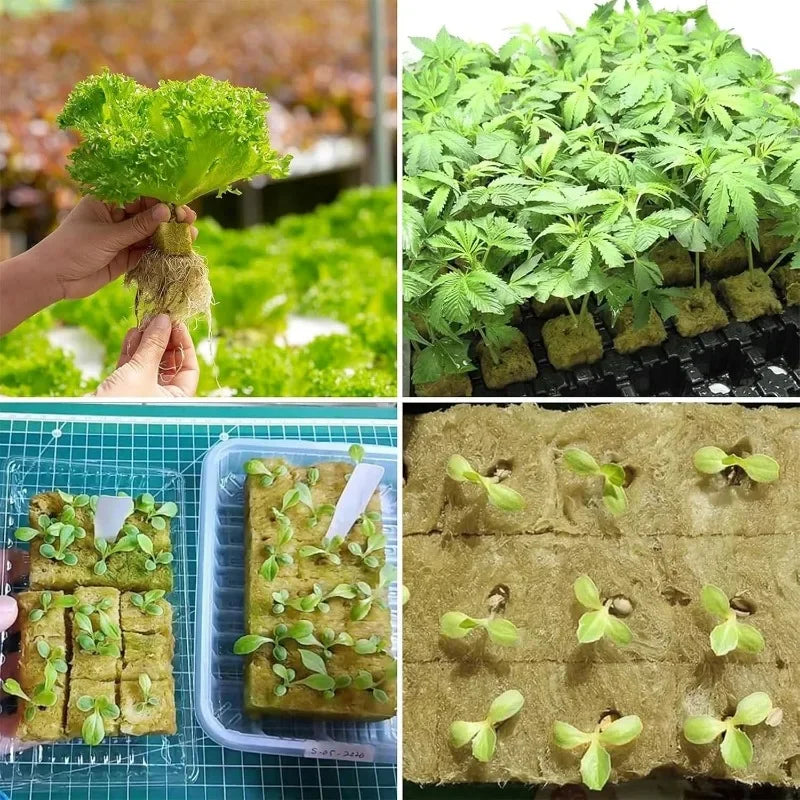 Soil-less Hydroponic Vegetable Planting Cube - Wholesalus