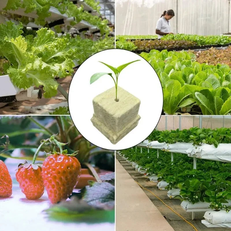 Soil-less Hydroponic Vegetable Planting Cube - Wholesalus