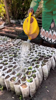 Biodegradable Plant Grow Bags - Wholesalus