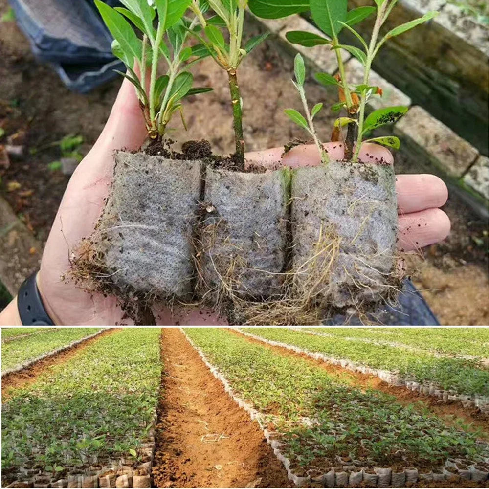 Biodegradable Plant Grow Bags - Wholesalus