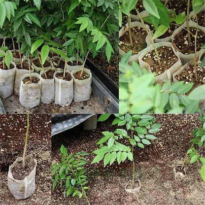 Biodegradable Plant Grow Bags - Wholesalus