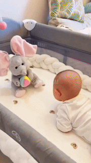Hide and Seek Elephant Plush Toy - Wholesalus
