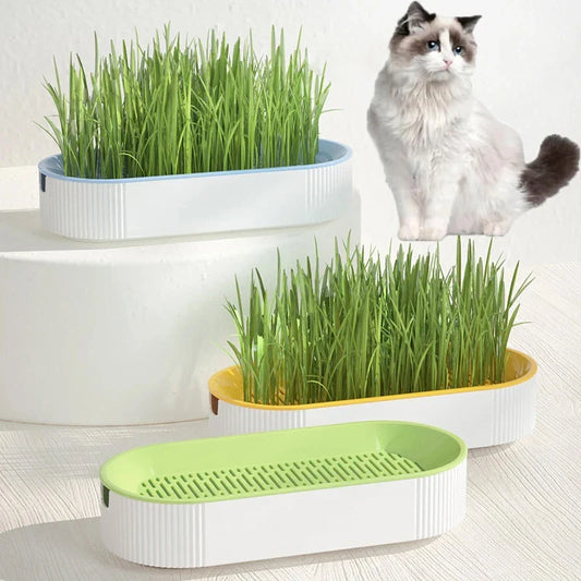 Hydroponic Cat Grass Pot Set - Wholesalus