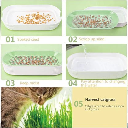 Hydroponic Cat Grass Pot Set - Wholesalus