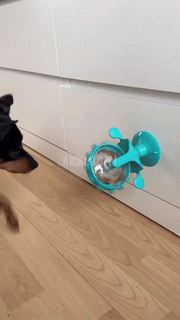Interactive Pet Food Dispenser Toy - Wholesalus