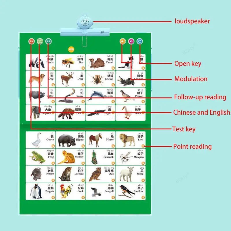 Kids Learning Point & Play Audio Book - Wholesalus