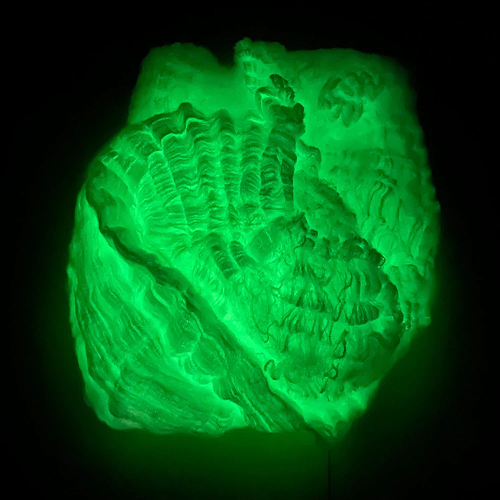 Luminous Spider Web - Wholesalus