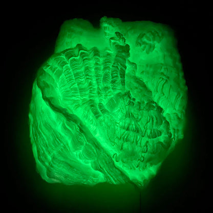 Luminous Spider Web - Wholesalus