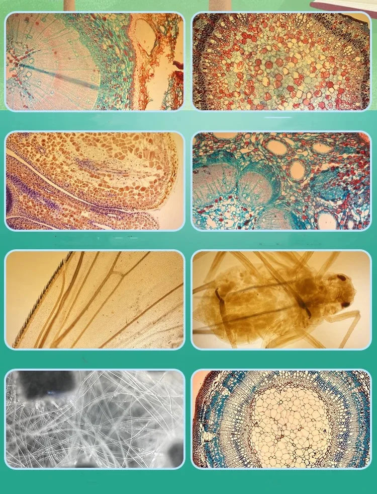 Multi-Functional 400X Microscope iPhone Case - Wholesalus