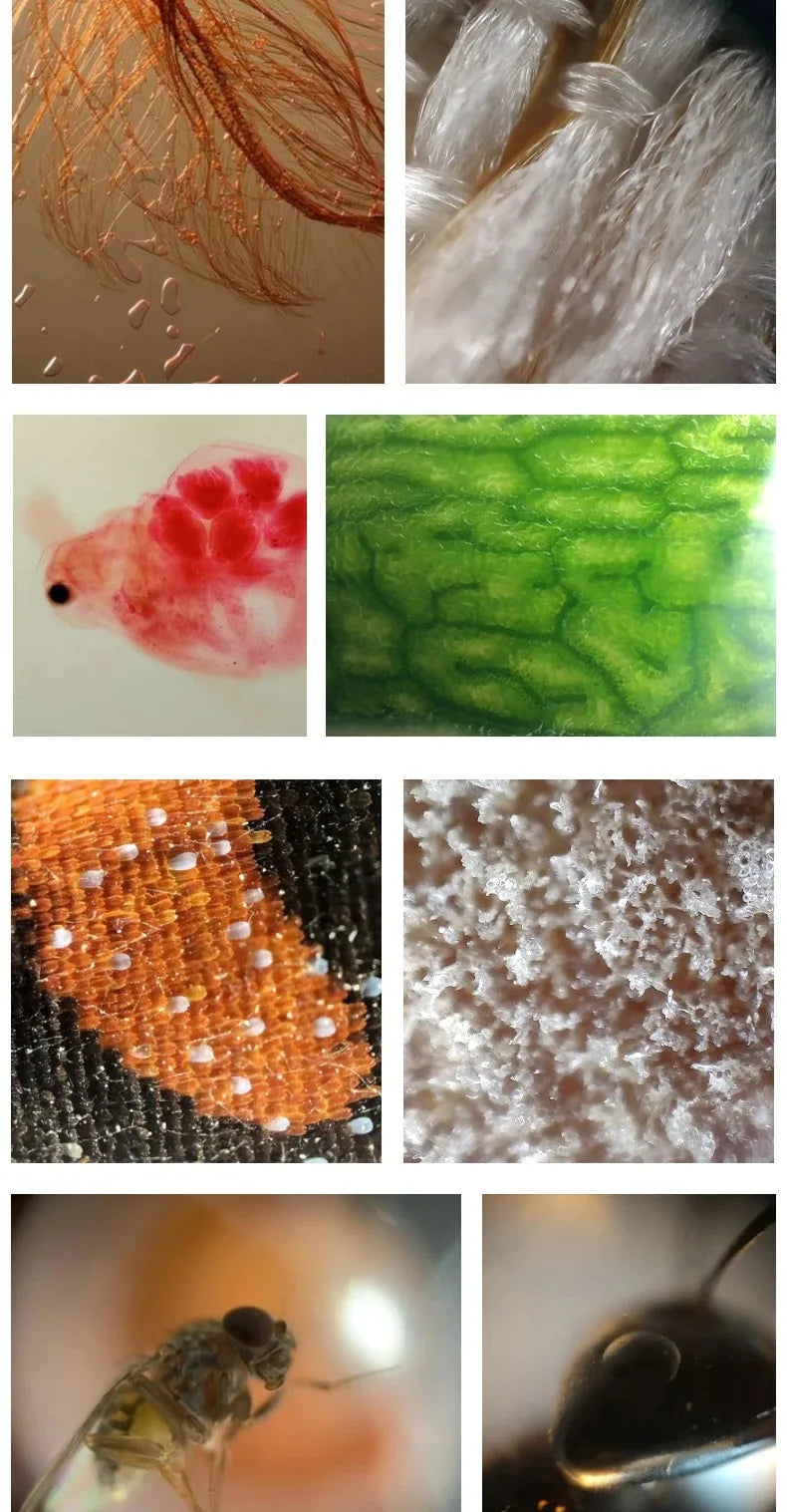 Multi-Functional 400X Microscope iPhone Case - Wholesalus