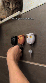 Self Adhesive Magnetic Owl Key Holder - Wholesalus