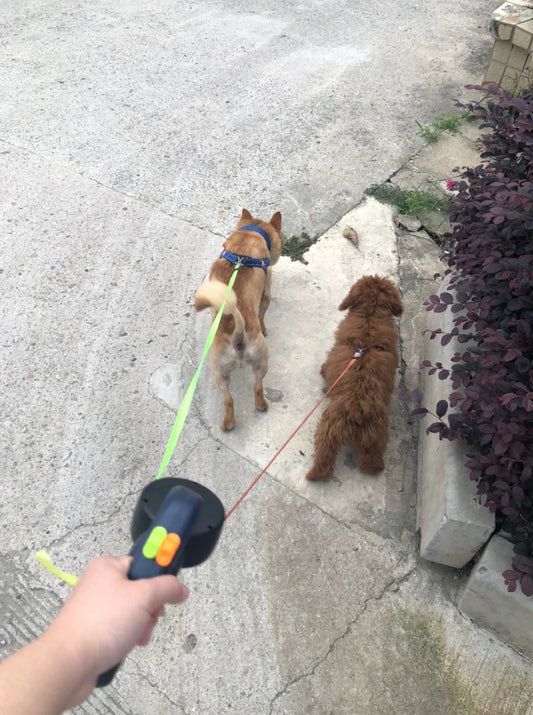 Zero Tangle Retractable Pet Walking Leash - Wholesalus