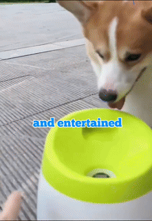 Fun Interactive Automatic Ball launcher Machine - Wholesalus