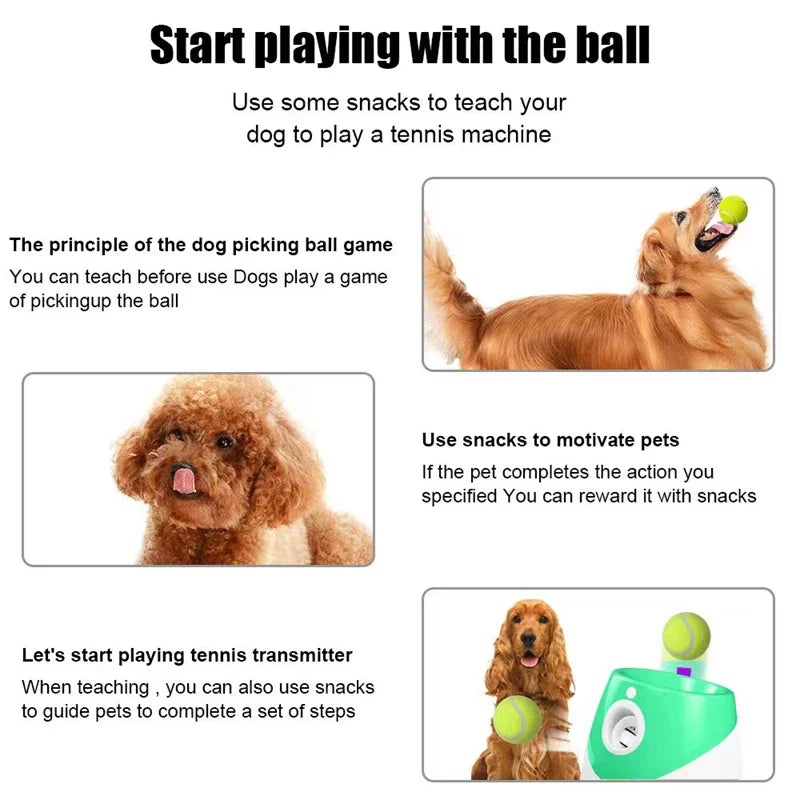 Fun Interactive Automatic Ball launcher Machine - Wholesalus