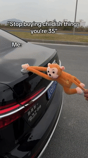 Vehicle Mounted Hanging Monkey Decor - Wholesalus