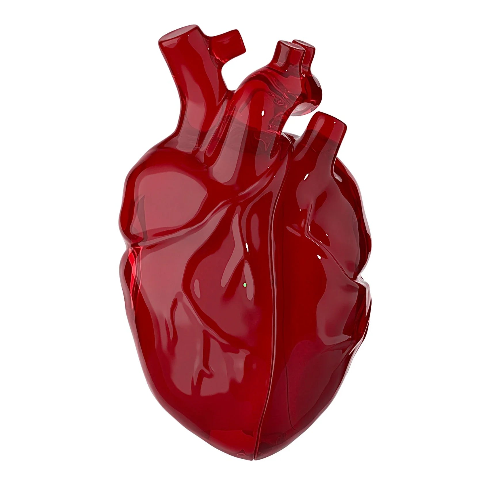 HeartShell  Earbuds Case - Wholesalus