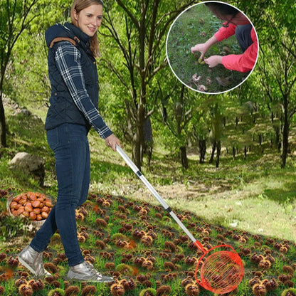 Rolling Nuts Collector - Wholesalus