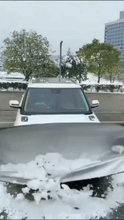 Car Windshield Snow and Sun Cover - Wholesalus