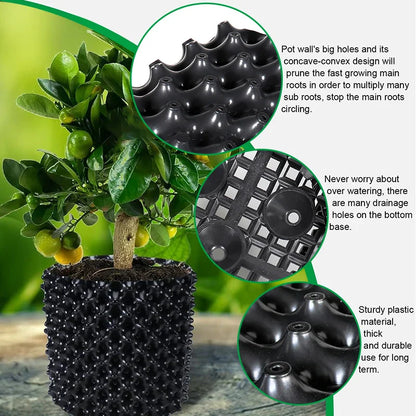 Air Pruning Fast Root Grow Container - Wholesalus