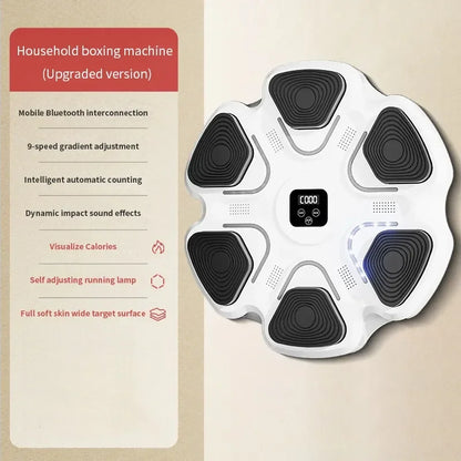 Smart Multifunctional Boxing Fitness Trainer - Wholesalus