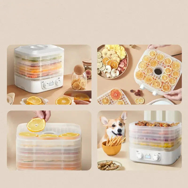 Intelligent Thermostatic Food Dehydrator Machine - Wholesalus