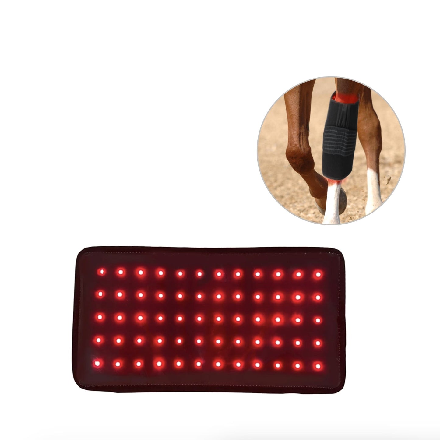 Megelin Red Light Therapy for Pets