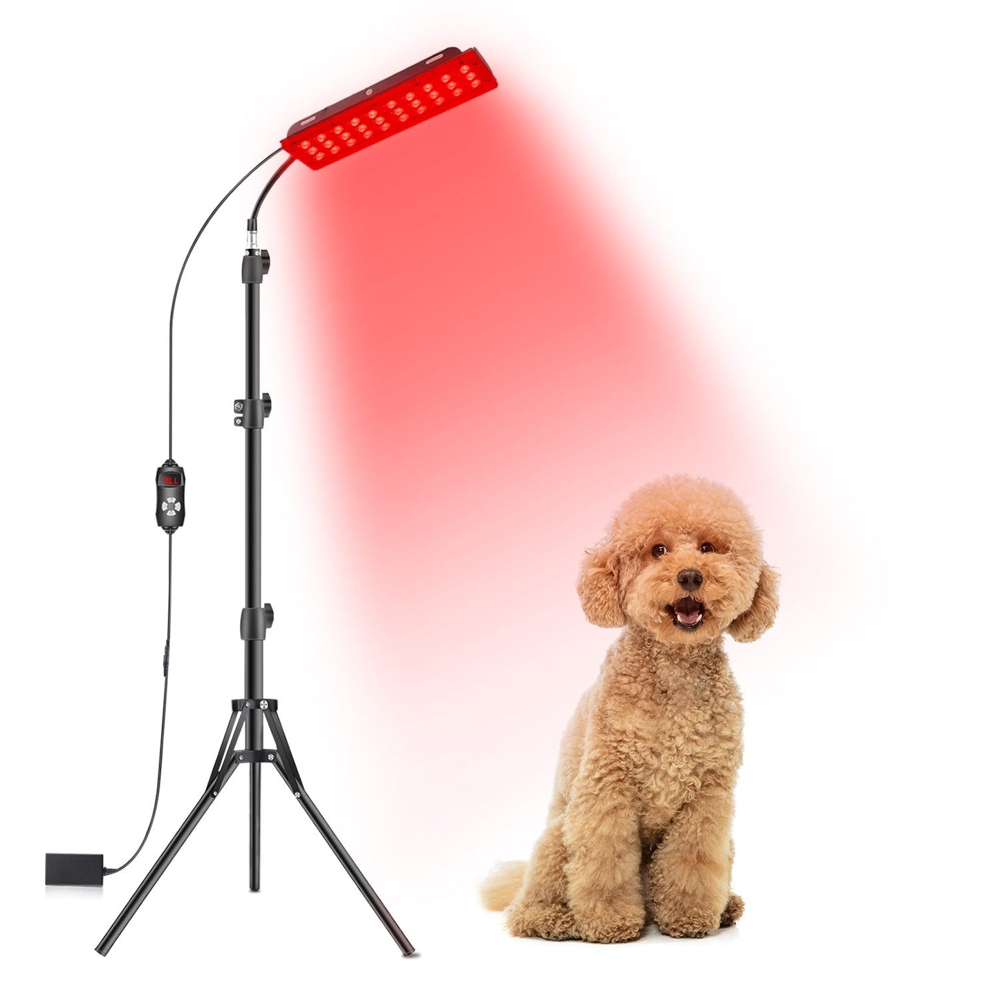 Megelin Red Light Therapy for Pets - Megelin