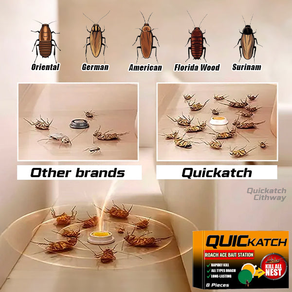 The Original QuicKatch™  - Cockroach Bait Gel Station - Wholesalus